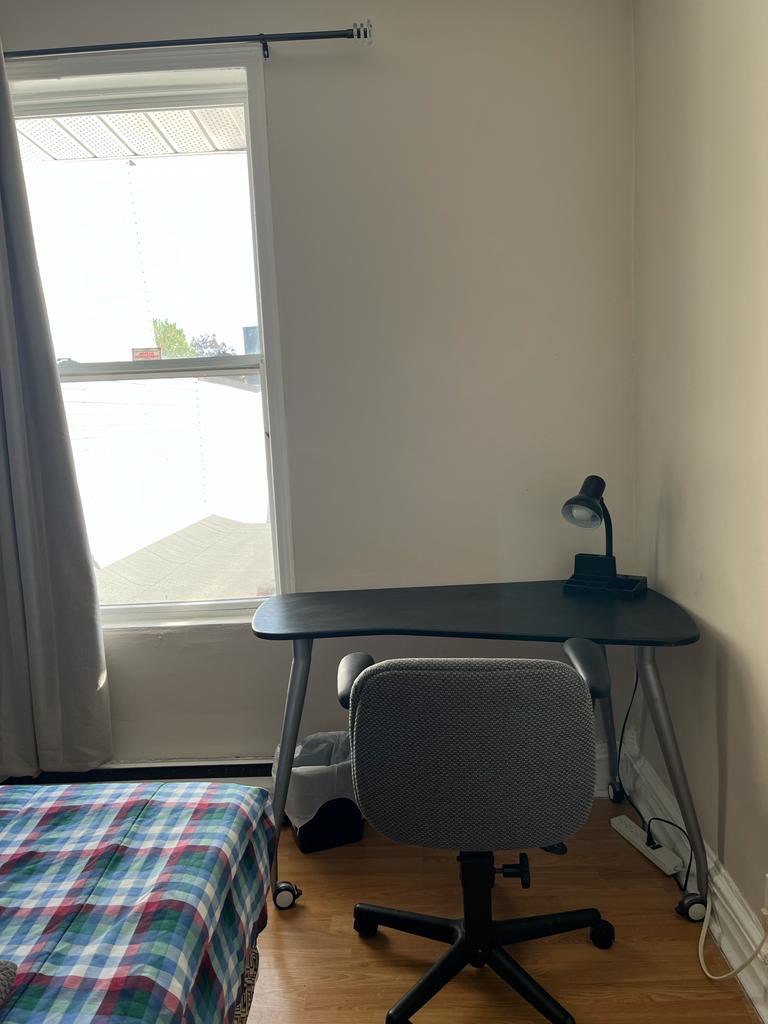 Picture of the author